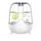 Humidifiers & Diffusers