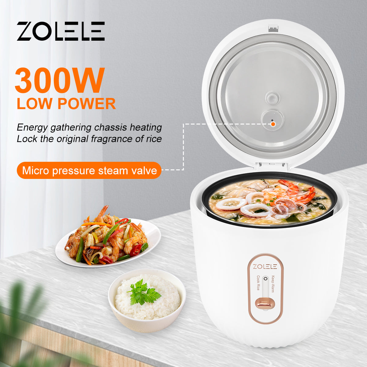Mag electric cooker discount